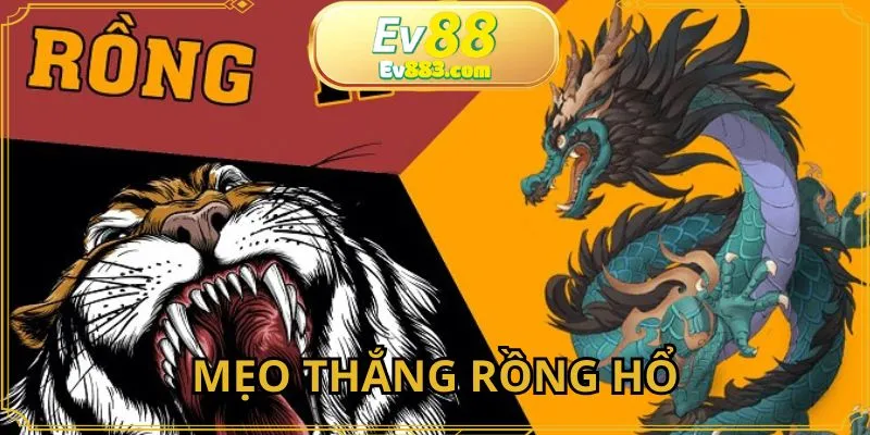 Mẹo Thắng Rồng Hổ Hiệu Quả Không Thể Bỏ Lỡ Tại EV88